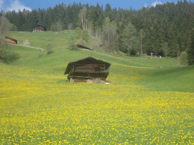 Appartementhaus Eberharter Hart im Zillertal Esterno foto