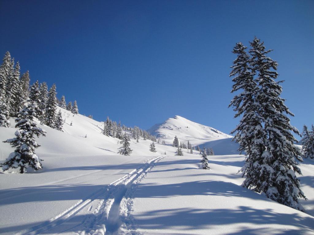 Appartementhaus Eberharter Hart im Zillertal Esterno foto